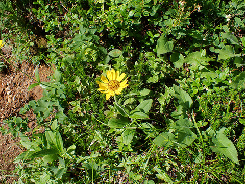 P8030029