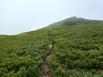 DSCN5069