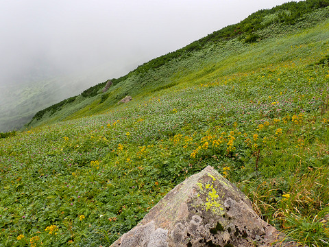 P8030177