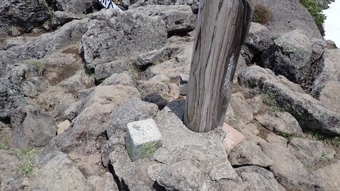 P6160149