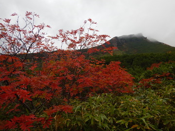 DSCN6905
