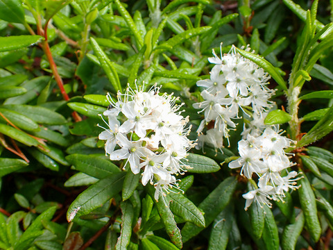 P7130026