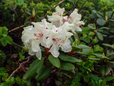P7130087