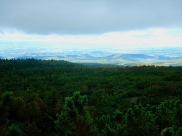 DSCN3823