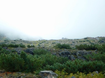DSCN3843
