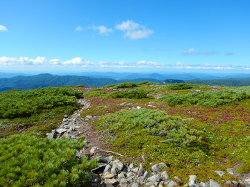 DSCN4003