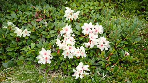 P6230087