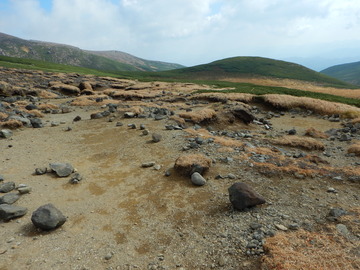DSCN2167