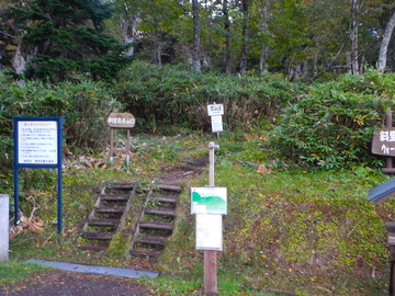 DSCN6688