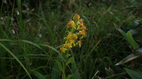 P8030050