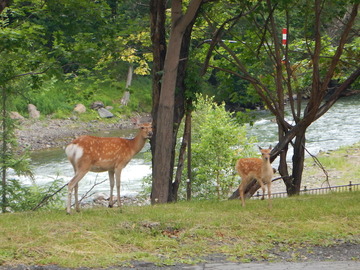 DSCN5358