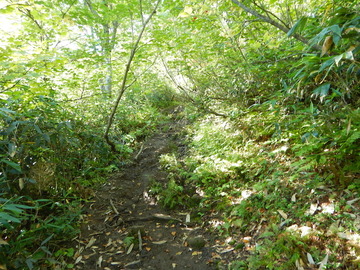 DSCN4047