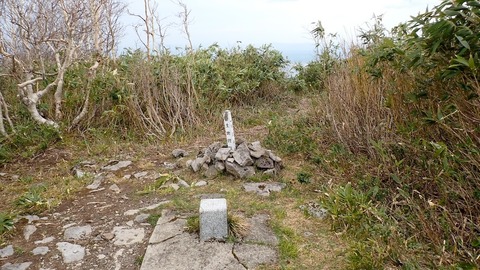 P5120045