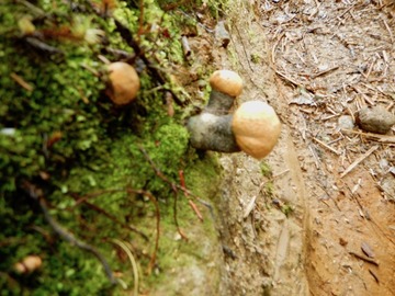 DSCN3818