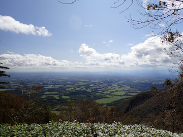 PA020088