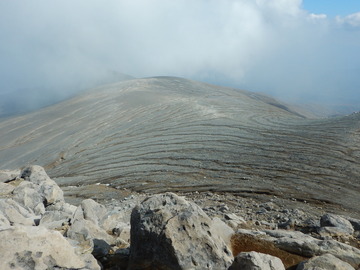 DSCN2201
