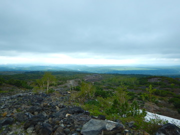 DSCN3155