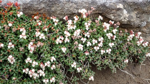 P6230080