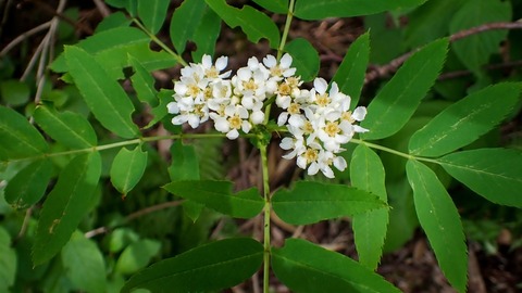 P6300231