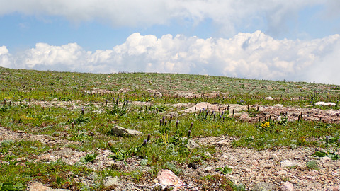 P7150199