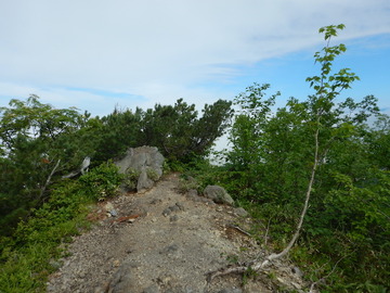 DSCN5008