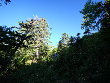 P9030136