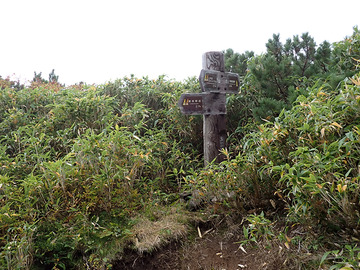 P9240140