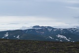 DSC_0350