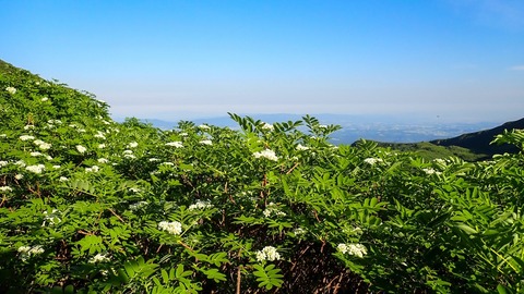 P6300015