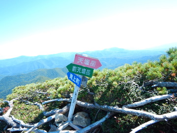 DSCN3942