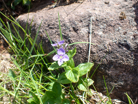 P7050183