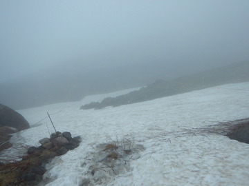 DSCN3163