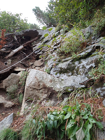 P9160067