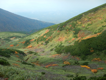 DSCN2239