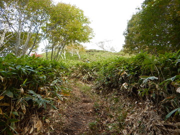DSCN7060