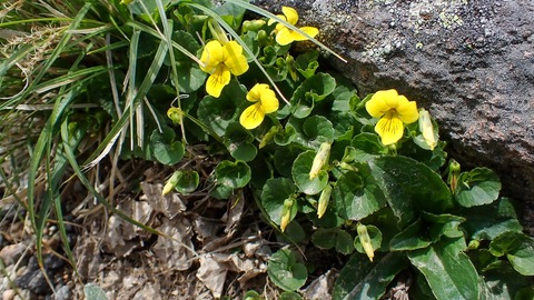P6230160