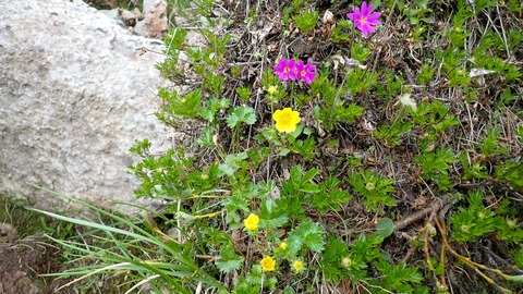 P6230065