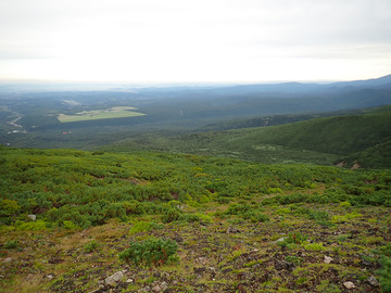 P9160038