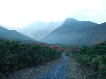 DSCN2946