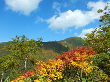 DSCN4221