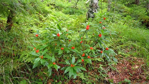 P8030108