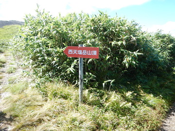 DSCN3969