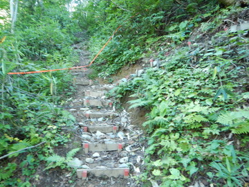 DSCN4021