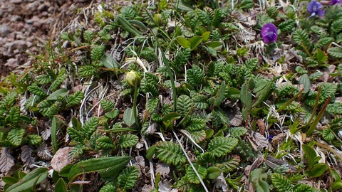 P6230155