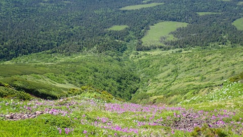 P6300065