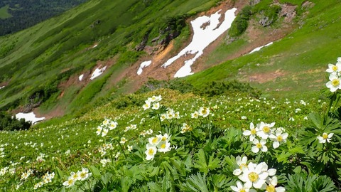 P6300094
