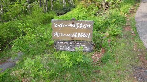 P6160005