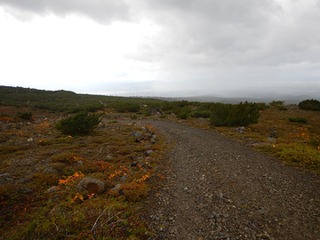 DSCN0770