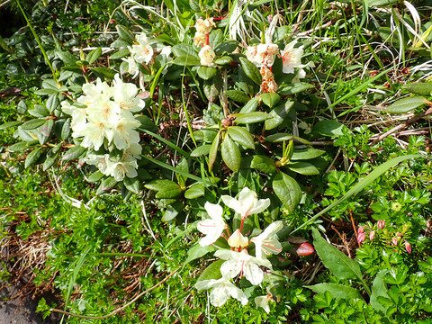 P7050058