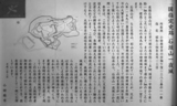 �г�������롡����